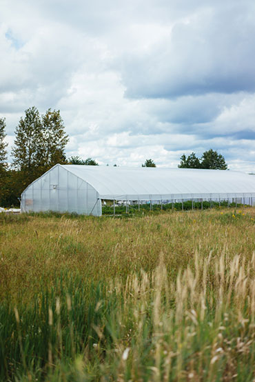 Ferme 地?zé)釡厥肄r(nóng)場(chǎng)農(nóng)業(yè)品牌視覺形象設(shè)計(jì)-上海品牌設(shè)計(jì)公司