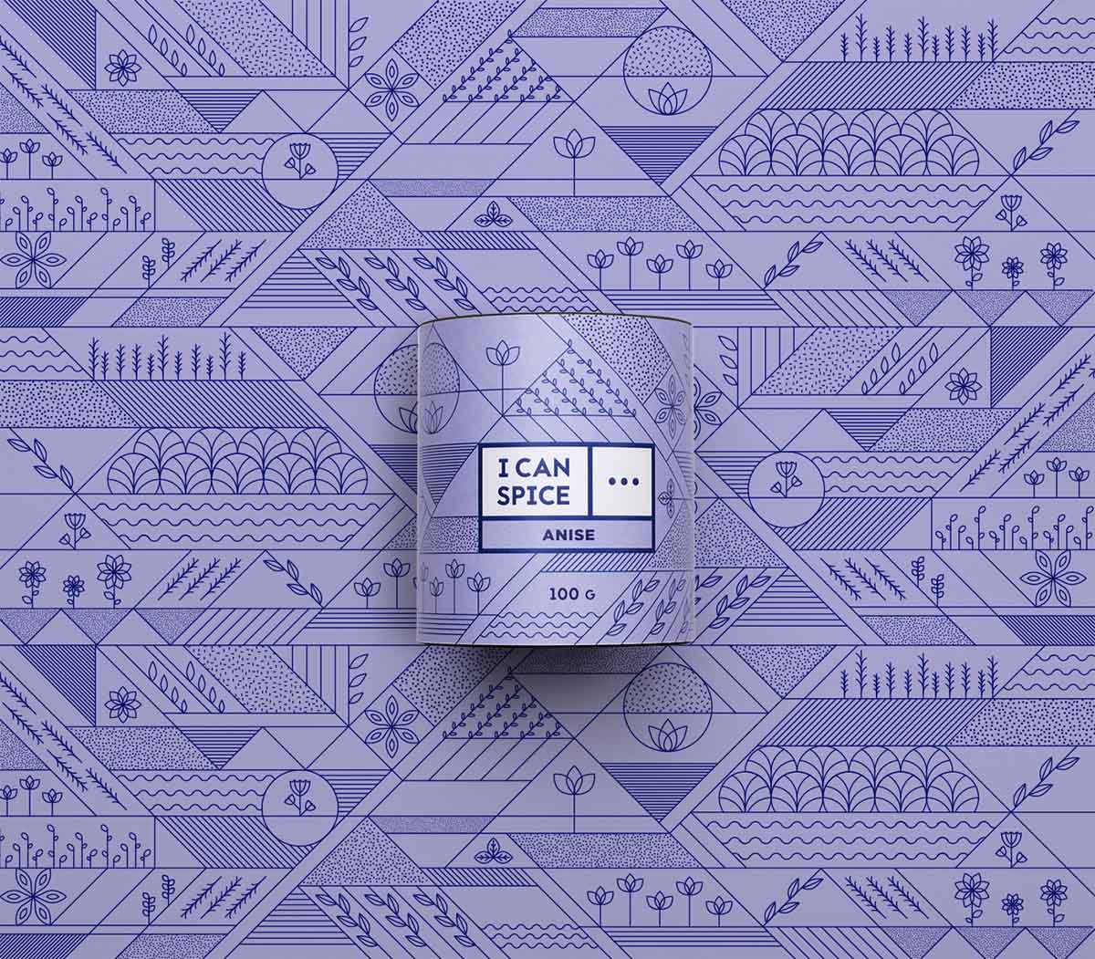幾何線條圖形風(fēng)“I Can Spice”香料調(diào)料包裝設(shè)計(jì)-上海包裝設(shè)計(jì)公司