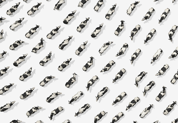 Purina 動(dòng)物飼料平面創(chuàng)意廣告設(shè)計(jì)“指紋-奶?!碧貙?xiě) Purina 動(dòng)物飼料平面創(chuàng)意廣告設(shè)計(jì)“指紋-奶?!碧貙?xiě)