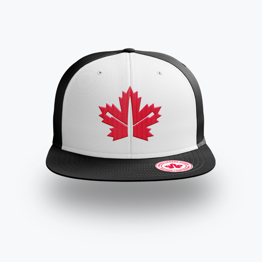 加拿大劃船體育運(yùn)動(dòng)機(jī)構(gòu)新標(biāo)志設(shè)計(jì)”楓葉+皮劃艇“