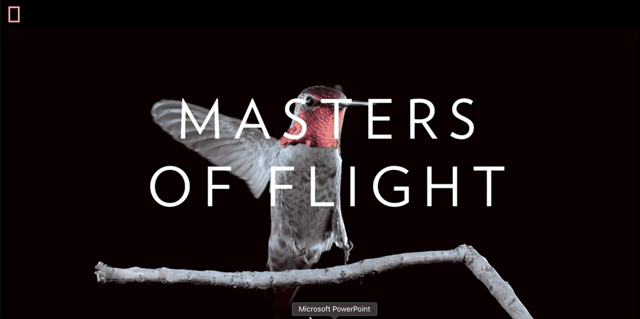 國家地理網(wǎng)頁設(shè)計