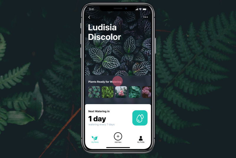 tubik澆水追蹤器應(yīng)用程序APP設(shè)計