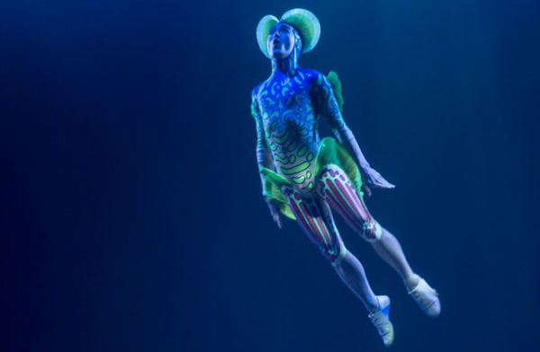 一類(lèi)品牌，在于創(chuàng)建一個(gè)新品類(lèi)-上海品牌策劃公司