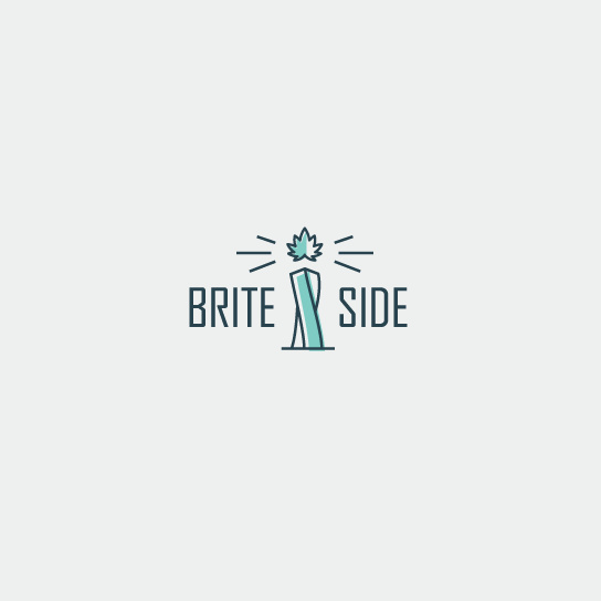 Brite Side的組合標(biāo)志設(shè)計(jì)-上海Logo設(shè)計(jì)公司logo設(shè)計(jì)最終指南 Brite Side的組合標(biāo)志設(shè)計(jì)-上海Logo設(shè)計(jì)公司logo設(shè)計(jì)最終指南