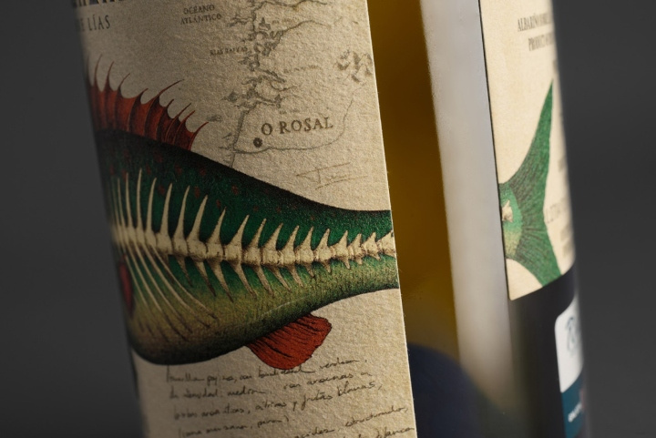 Albari?o 葡萄酒包裝設(shè)計(jì),復(fù)古的魚(yú)插畫(huà)標(biāo)簽風(fēng)格 Albari?o 葡萄酒包裝設(shè)計(jì),復(fù)古的魚(yú)插畫(huà)標(biāo)簽風(fēng)格