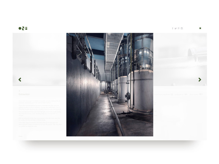 One & Olive 希臘特級(jí)初榨橄欖油網(wǎng)站設(shè)計(jì)-上海網(wǎng)站設(shè)計(jì)建設(shè)公司