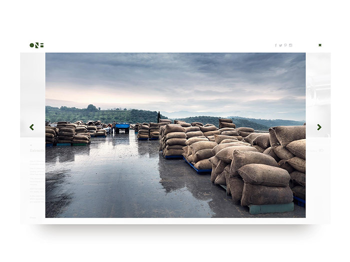 One & Olive 希臘特級(jí)初榨橄欖油網(wǎng)站設(shè)計(jì)-上海網(wǎng)站設(shè)計(jì)建設(shè)公司