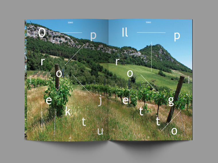 SIGMA2環(huán)境與生物多樣性環(huán)保宣傳冊設計-上海畫冊設計公司-尚略廣告