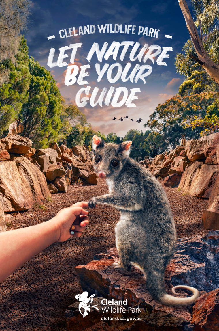 克萊蘭德野生動(dòng)物園平面創(chuàng)意廣告：讓自然成為你的向?qū)?負(fù)鼠-上海廣告設(shè)計(jì)公司