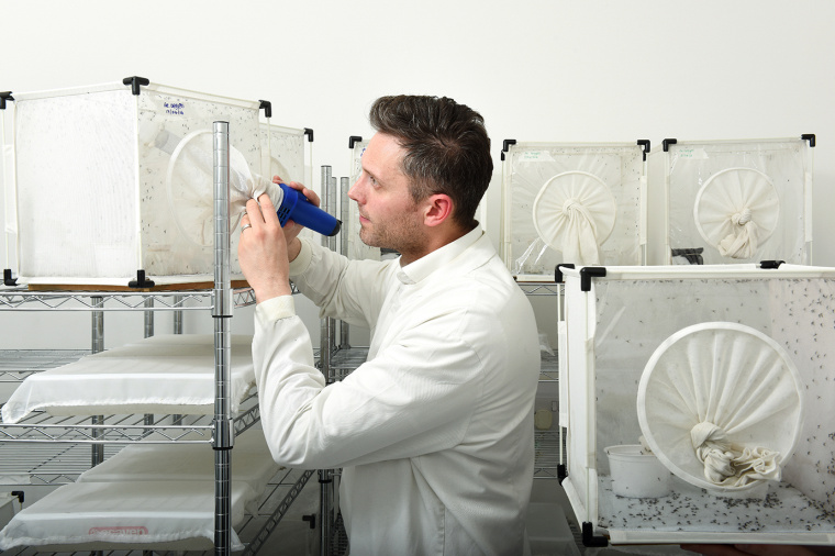 倫敦衛(wèi)生與熱帶醫(yī)學(xué)院大學(xué)品牌形象設(shè)計(jì) 倫敦衛(wèi)生與熱帶醫(yī)學(xué)院大學(xué)品牌形象設(shè)計(jì)