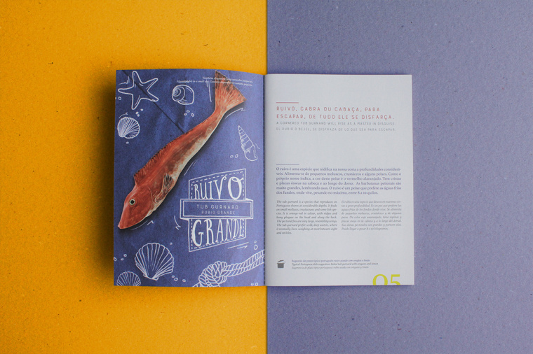 上海宣傳冊設計公司分享：報紙風格魚標本宣傳冊設計