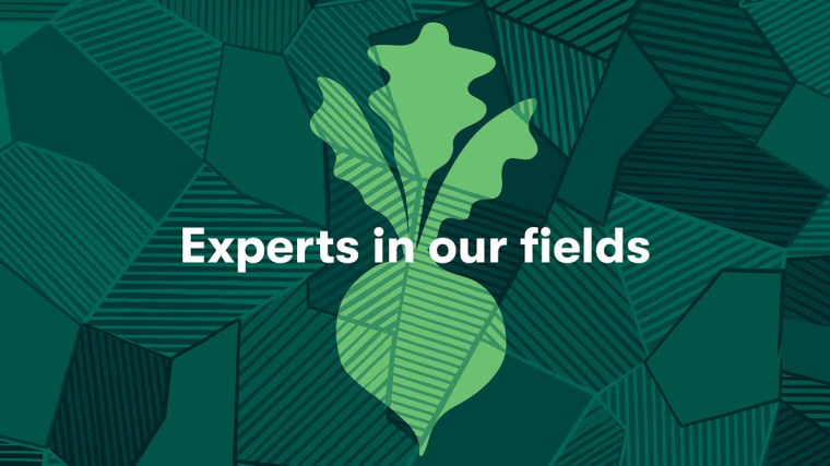 Millbank農(nóng)場品牌形象設(shè)計-VI設(shè)計,來自土地樣貌的創(chuàng)意 Millbank農(nóng)場品牌形象設(shè)計-VI設(shè)計,來自土地樣貌的創(chuàng)意