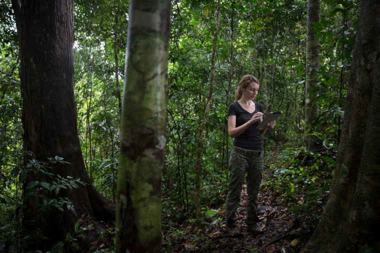 LSHTM醫(yī)學學院大學品牌形象設計VI設計