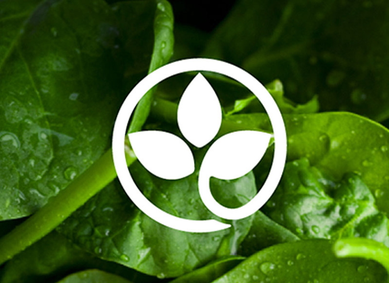 營養(yǎng)研究所中心logo設(shè)計(jì)-上海logo設(shè)計(jì)公司健康保健營養(yǎng)logo靈感