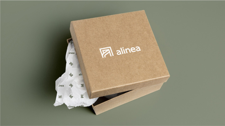 Alinéa法國家具裝飾公司商場標識logo設計與vi形象設計-包裝盒子