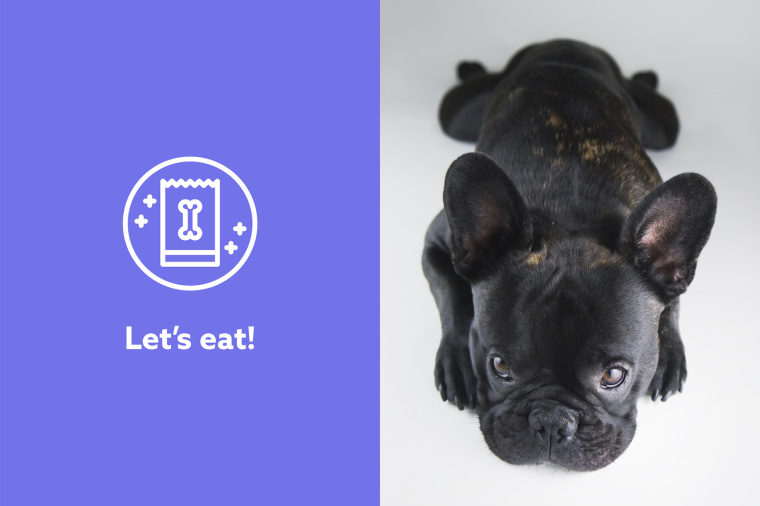 Barkyn 狗糧寵物食品品牌形象設(shè)計(jì)-logo設(shè)計(jì)包裝設(shè)計(jì)，淡雅溫馨風(fēng)格展現(xiàn)寵物之愛(ài)