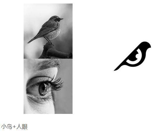 鳥+眼睛logo設(shè)計