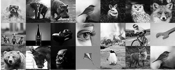 六位數(shù)花費(fèi)的LOGO設(shè)計(jì)，關(guān)鍵在于多個(gè)元素的創(chuàng)意結(jié)合