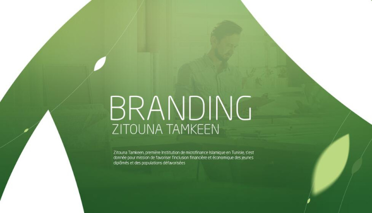 Zitouna橄欖油生產企業(yè)logo設計vi設計，橄欖樹、蠟燭、人與幾何圖形的結合