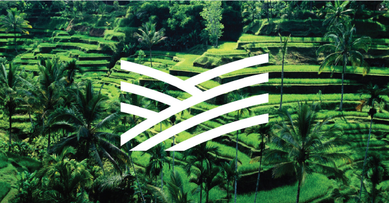 Noch 有機農(nóng)場logo設計vi設計-上海農(nóng)業(yè)品牌設計公司