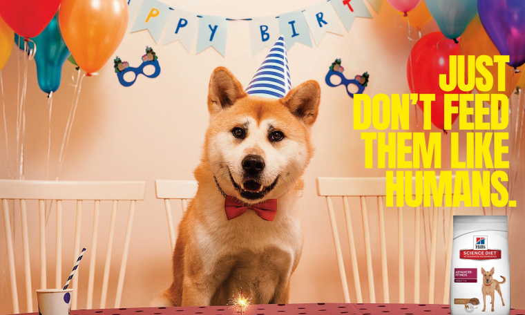 Hill‘s寵物食品擬人化平面創(chuàng)意廣告設(shè)計(jì)“不要像人類一樣喂養(yǎng)它們” Hill‘s寵物食品擬人化平面創(chuàng)意廣告設(shè)計(jì)“不要像人類一樣喂養(yǎng)它們”