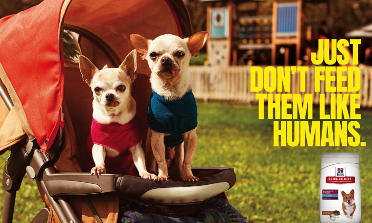 Hill’s寵物食品擬人化平面創(chuàng)意廣告設(shè)計(jì)“不要像人類一樣喂養(yǎng)它們” Hill’s寵物食品擬人化平面創(chuàng)意廣告設(shè)計(jì)“不要像人類一樣喂養(yǎng)它們”