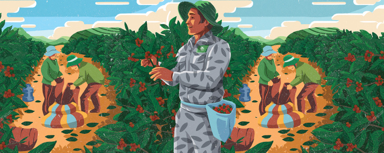 Cau Dat 農(nóng)場咖啡茶葉包裝設(shè)計(jì)，采用環(huán)繞農(nóng)場的插畫設(shè)計(jì)將全景感受融入其中