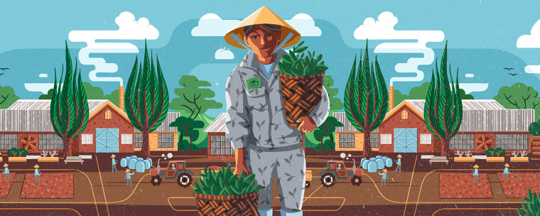 Cau Dat農(nóng)場插畫式包裝設(shè)計，采用環(huán)繞設(shè)計將全景感受融入其中