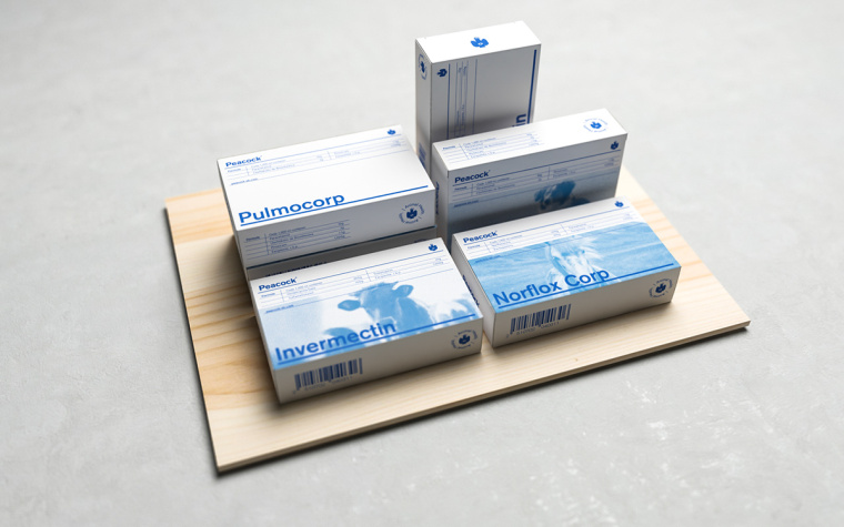 Peacock獸醫(yī)藥物品牌形象VI設(shè)計logo設(shè)計，孔雀的矢量化圖案