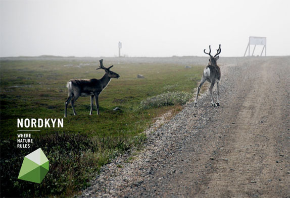 Nordkyn半島旅游品牌形象設計動態(tài)logo設計vi設計 Nordkyn半島旅游品牌形象設計動態(tài)logo設計vi設計