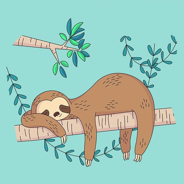 懶惰樹懶吉祥物設(shè)計(jì)--上海品牌設(shè)計(jì)公司