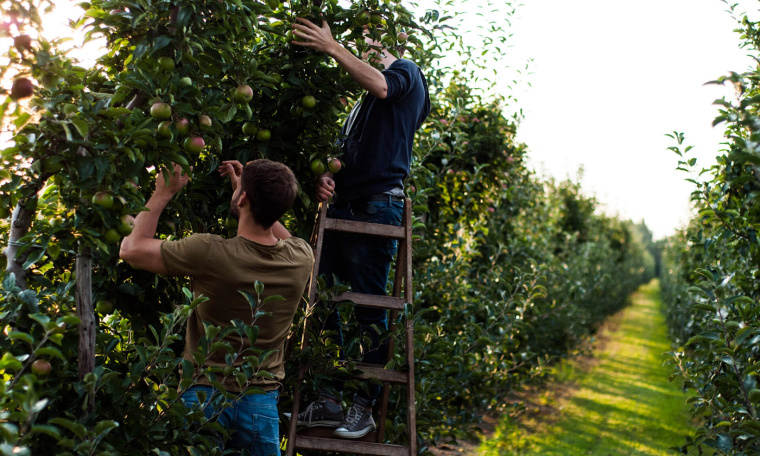 手繪藝術(shù)風(fēng)Studio Otwarte 壓榨純果汁包裝設(shè)計(jì)