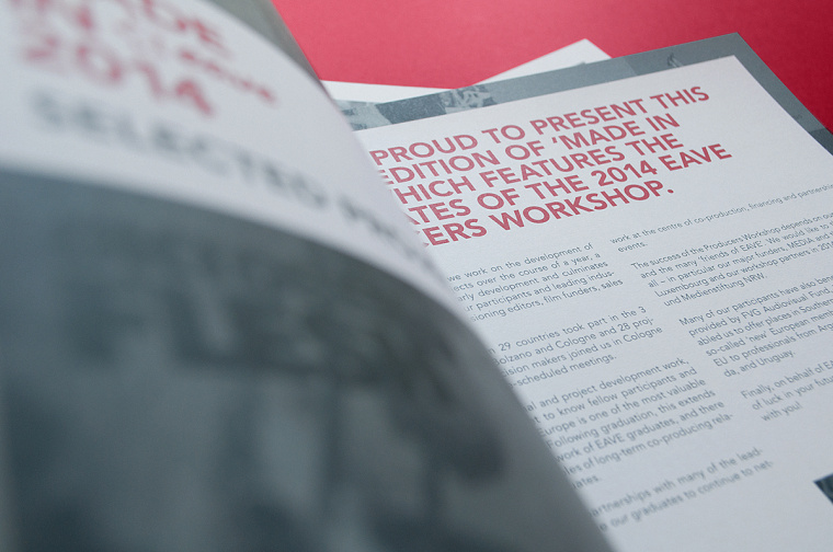 歐洲企業(yè)家年會宣傳手冊設計，暗紅與深灰風格設計