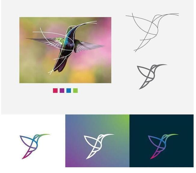 logo設(shè)計(jì)過程圖示揭示logo設(shè)計(jì)靈感-蜂鳥線條logo設(shè)計(jì)靈感