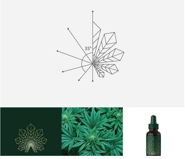 logo設(shè)計(jì)過程圖示揭示logo設(shè)計(jì)靈感-植物+線條 精油logo設(shè)計(jì)靈感