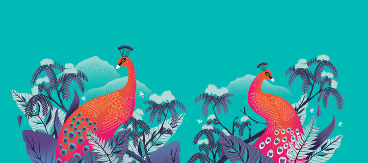 Noir 罐裝餅干禮盒包裝設(shè)計(jì),非常美麗的藝術(shù)插畫（孔雀）