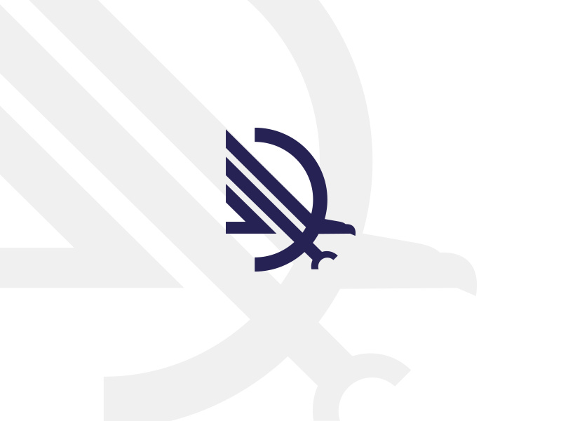 D-eagle Drib保險(xiǎn)公司logo設(shè)計(jì)