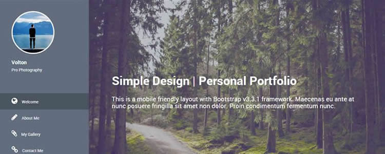 volton自由設(shè)計師撰稿人垂直菜單html5模板網(wǎng)站響應(yīng)