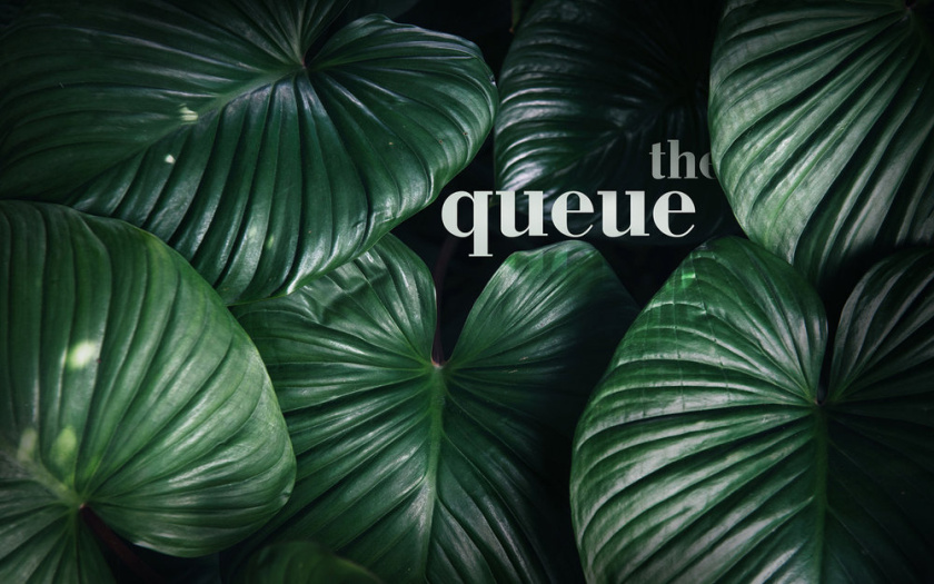 比利時啤酒包裝設計，大寫字母Q貫穿所有包裝