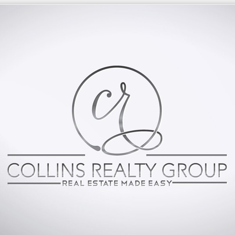 低調(diào)的銀色logo設(shè)計-房地產(chǎn)logo設(shè)計