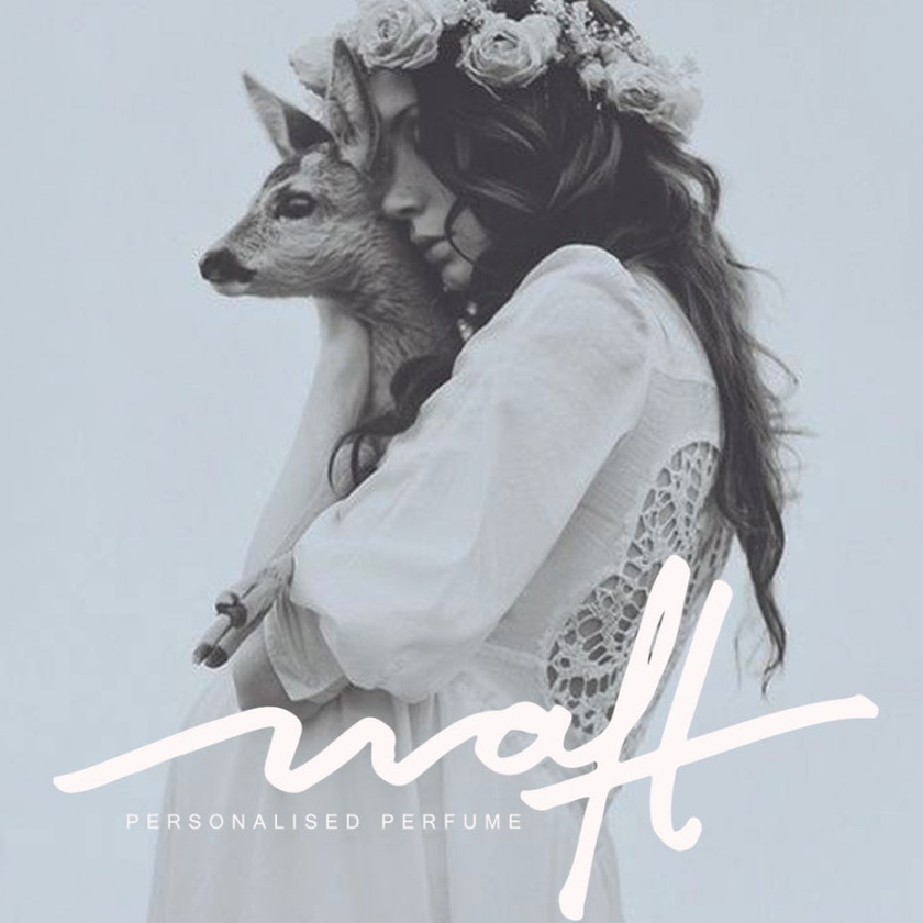 白色logo設(shè)計- 白色腳本標(biāo)志設(shè)計