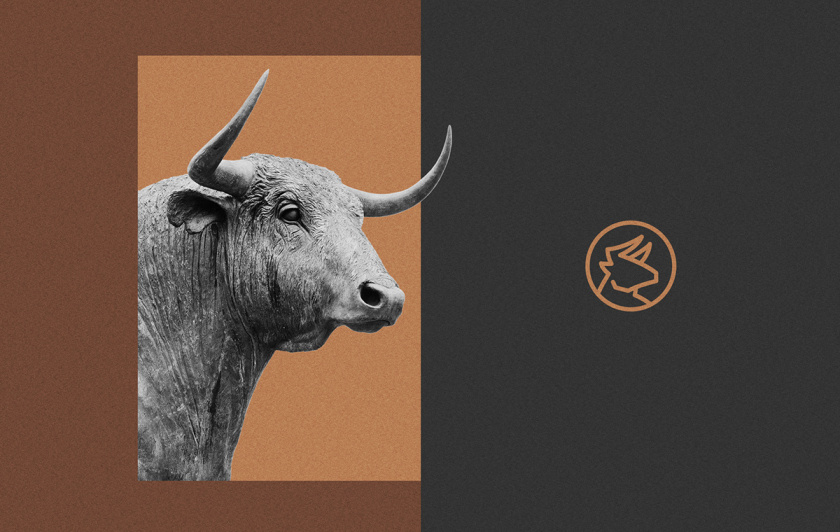 BDB金融投資創(chuàng)投公司vi形象設(shè)計(jì)與公牛logo設(shè)計(jì) BDB金融投資創(chuàng)投公司vi形象設(shè)計(jì)與公牛logo設(shè)計(jì)