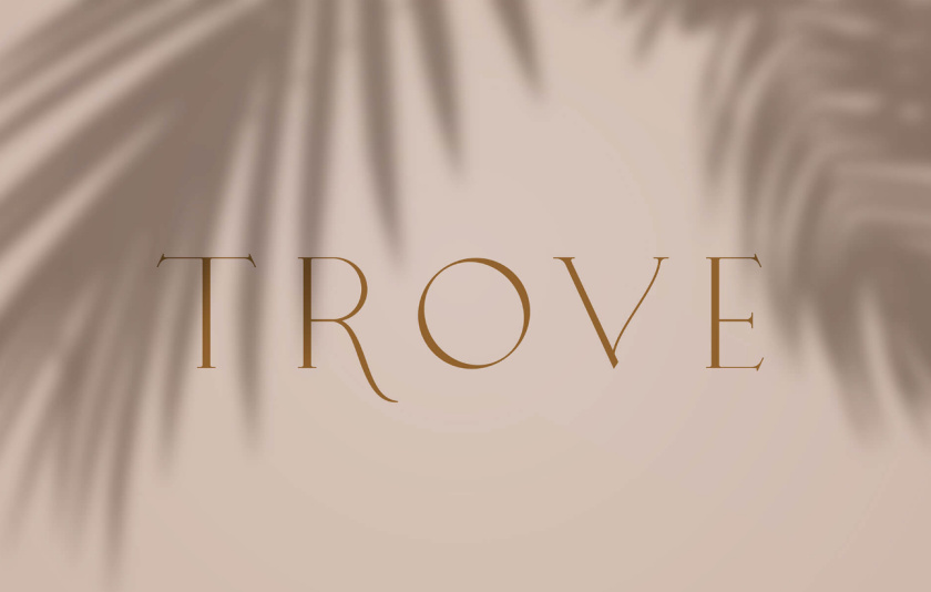 Trove 家具品牌logo設(shè)計-字體設(shè)計