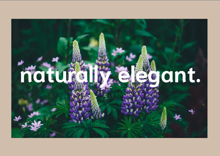 Bostaan 景觀公司logo設(shè)計(jì)與vi設(shè)計(jì)，矢量化幾何風(fēng)格綠葉與根須