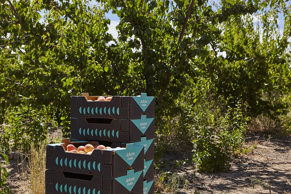 FORêT杏桃水果包裝設(shè)計，采用森林樹木的抽象圖形