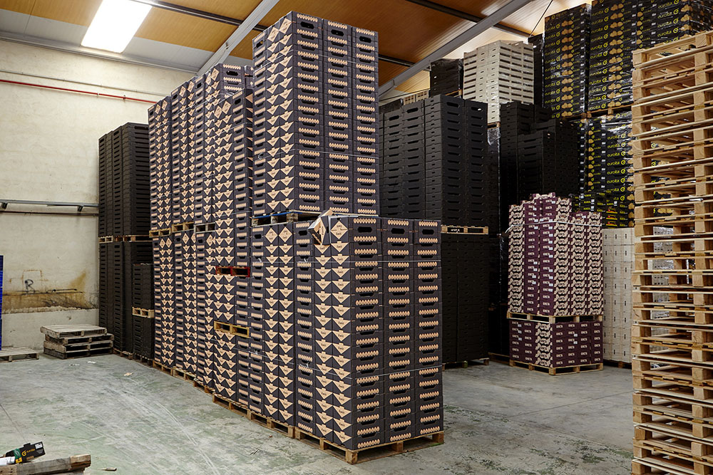 FORêT杏桃水果包裝設(shè)計，采用森林樹木的抽象圖形