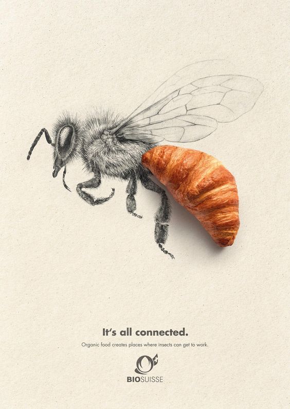 BIOSUISSE有機農(nóng)業(yè)農(nóng)產(chǎn)品平面廣告設(shè)計，素描動物愛上有機食品