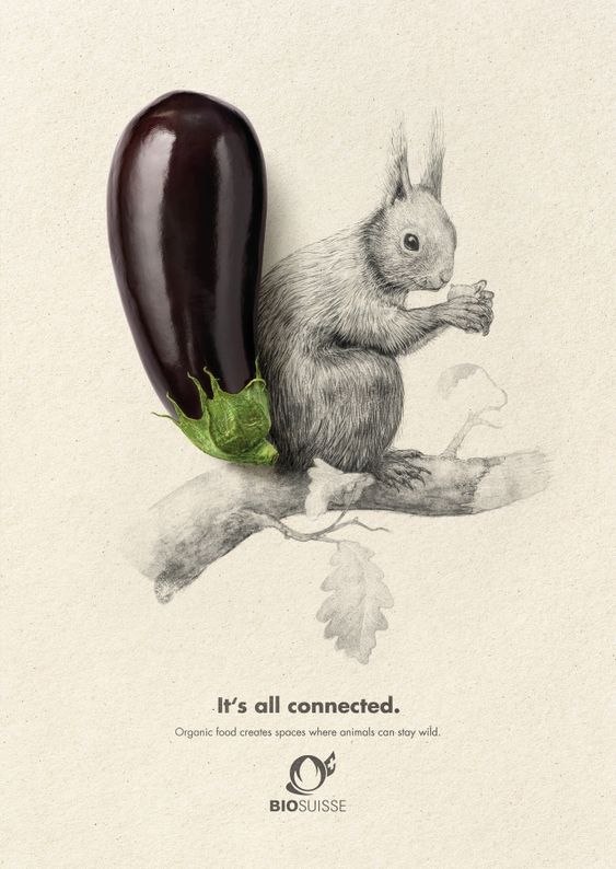 BIOSUISSE有機農(nóng)業(yè)農(nóng)產(chǎn)品平面廣告設(shè)計，素描動物愛上有機食品