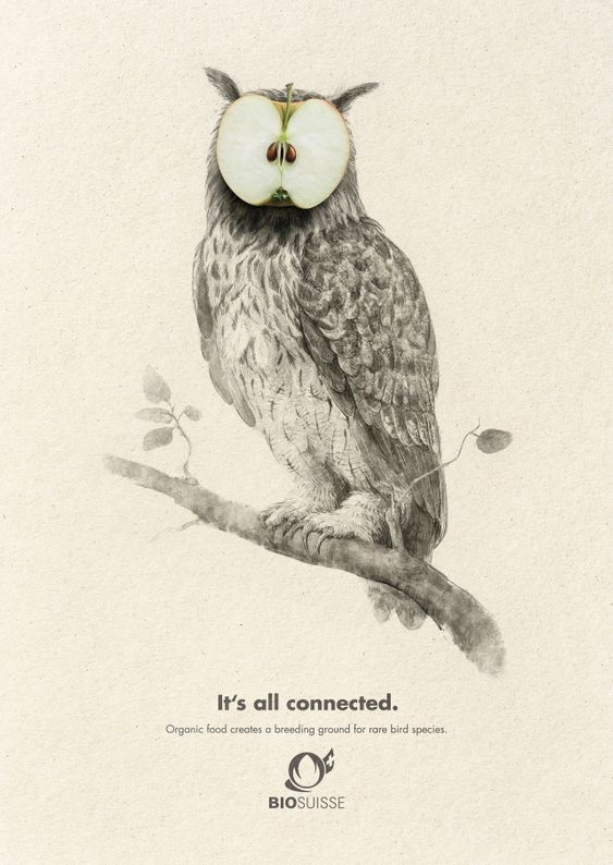 BIOSUISSE有機農(nóng)業(yè)農(nóng)產(chǎn)品平面廣告設(shè)計，素描動物愛上有機食品