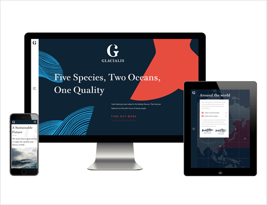 Glacialis 海鮮冷凍魚品牌網(wǎng)站設(shè)計(jì)